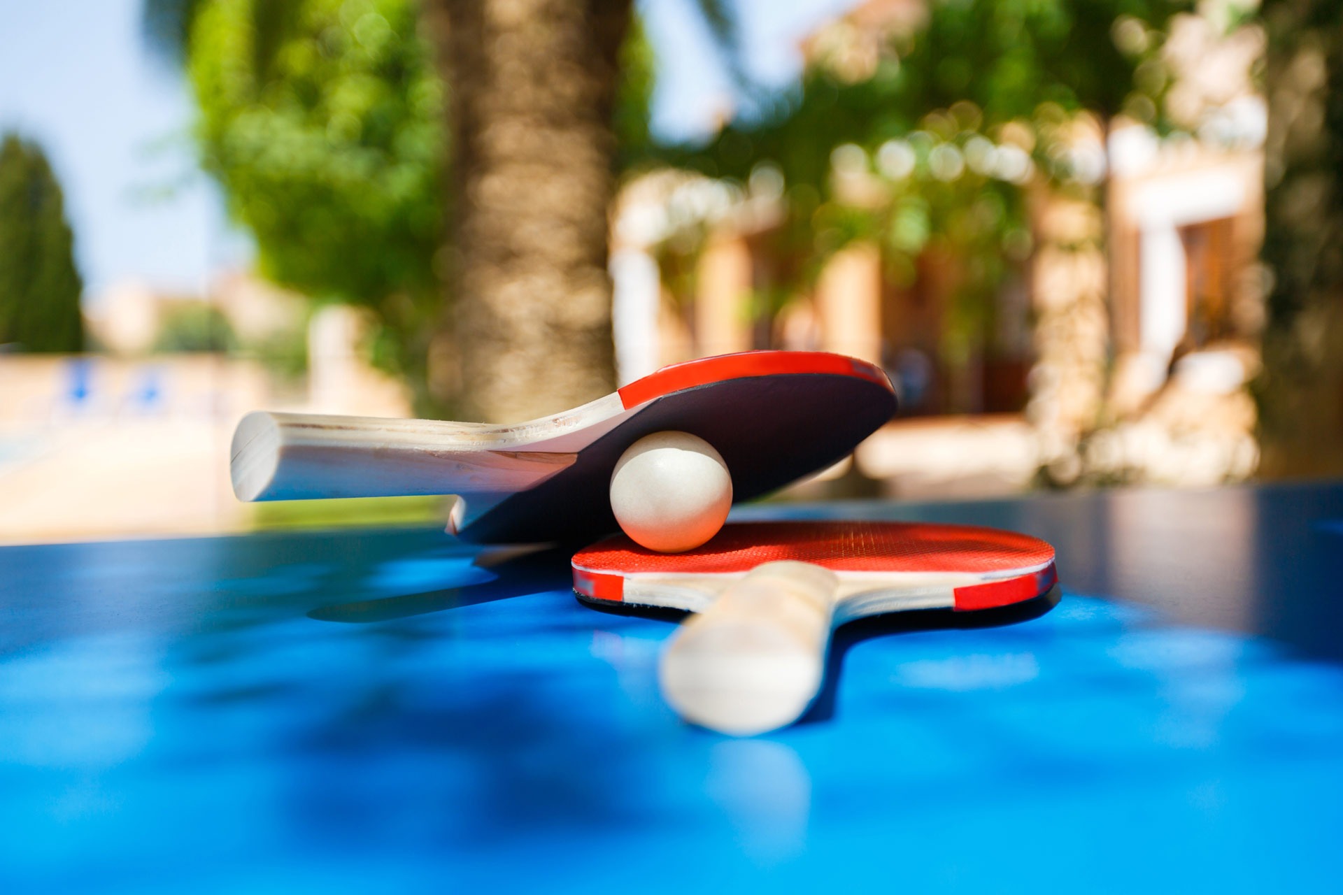 Ping-Pong Table ping pong extérieur
